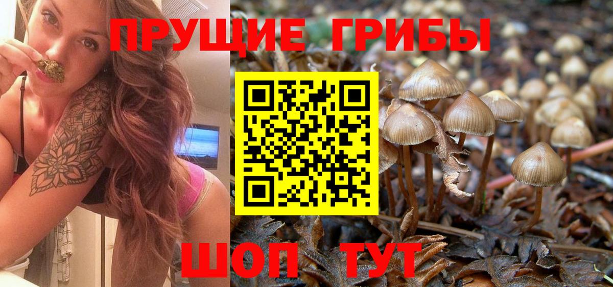 Ростов Великий  даркнет сайт  Вход с VPN  Псилоцибиновые грибы Cubensis 
