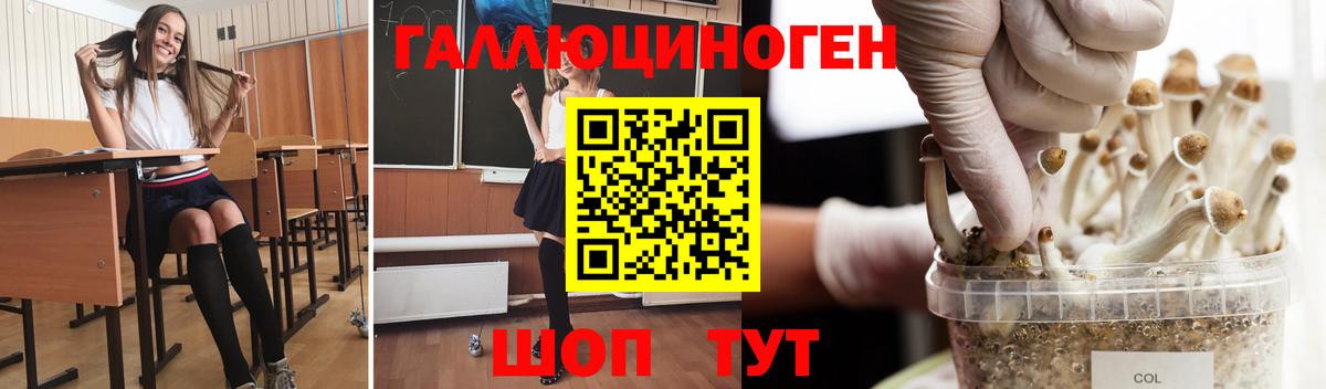 Псилоцибиновые грибы Cubensis Ростов Великий